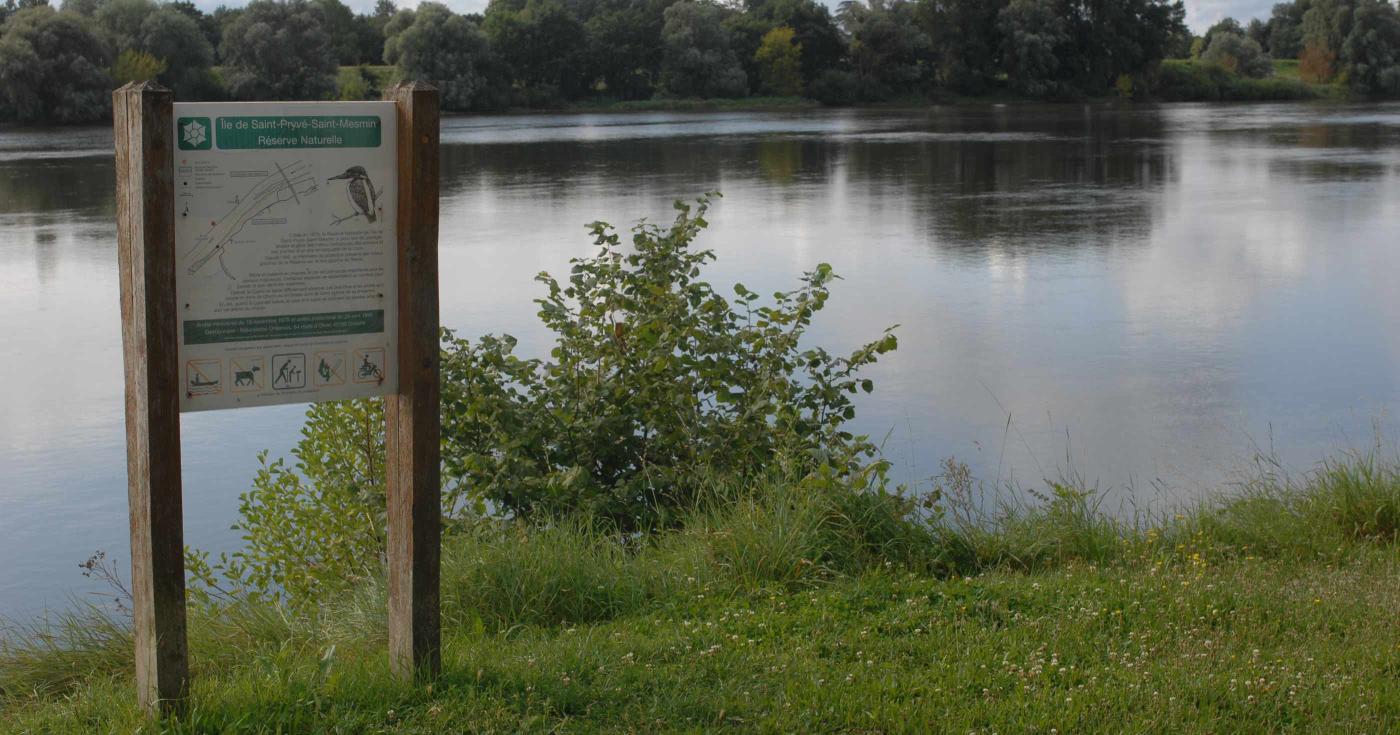Les Rendez-vous de la nature dans le Loiret : édition 2022 réserve de Saint-Mesmin