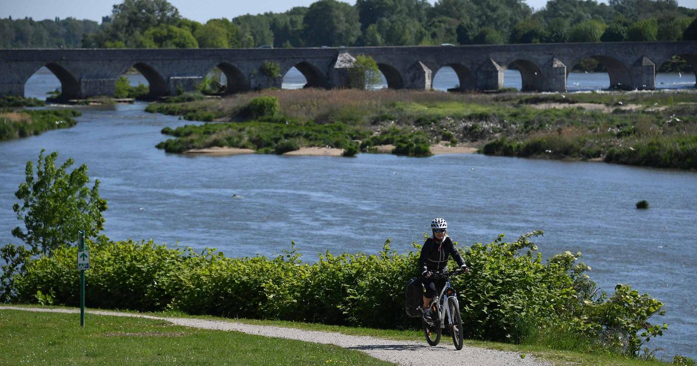 Les Rendez-vous de la nature dans le Loiret : édition 2022 rives de Beaugency