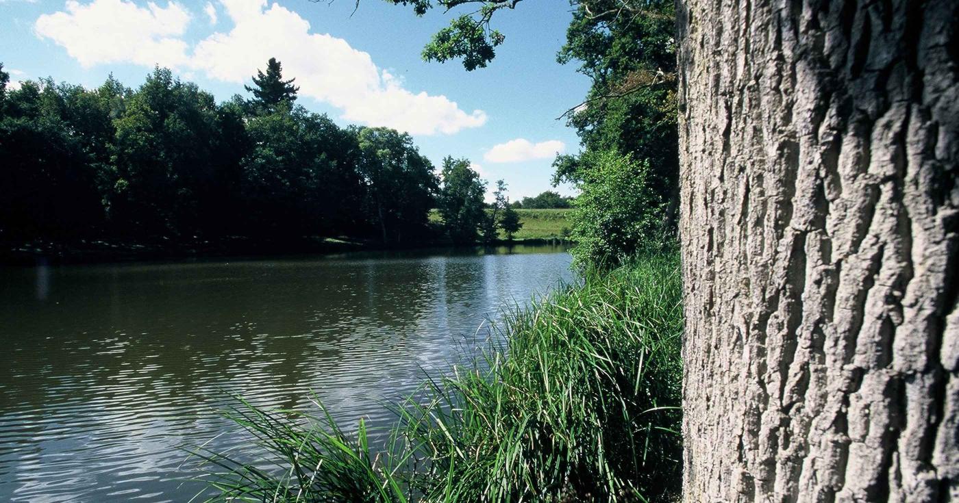 Les Rendez-vous de la nature dans le Loiret : édition 2022 trousse-bois