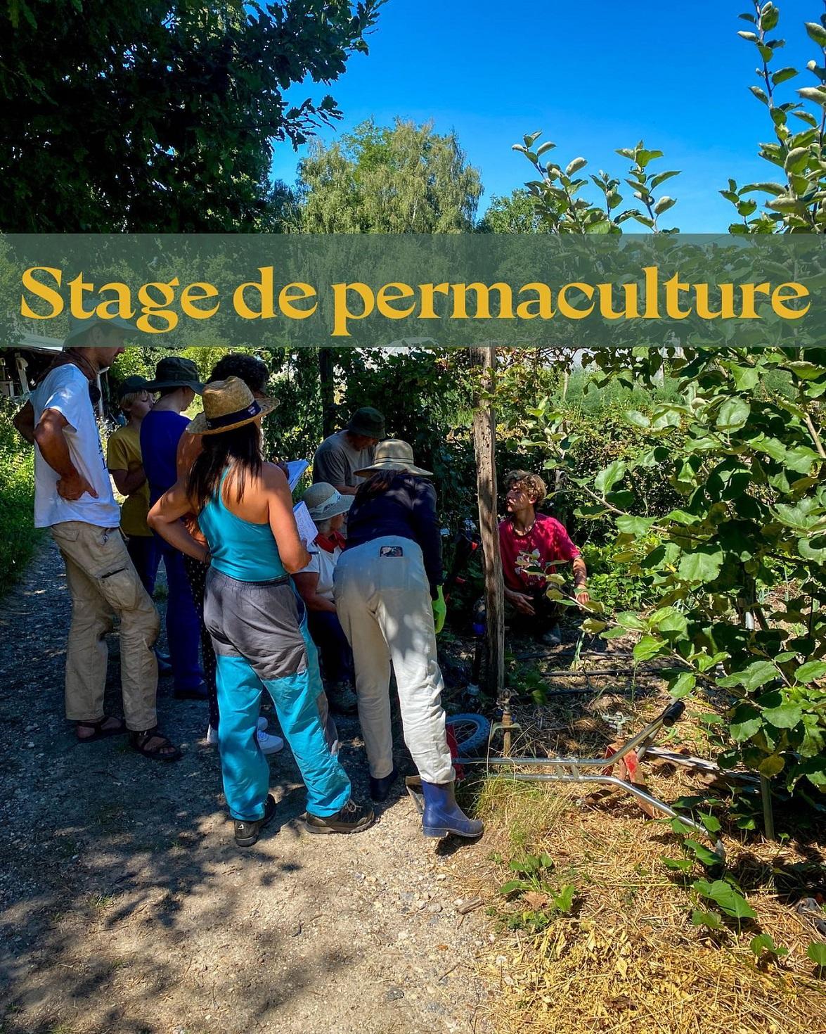 Atelier permaculture