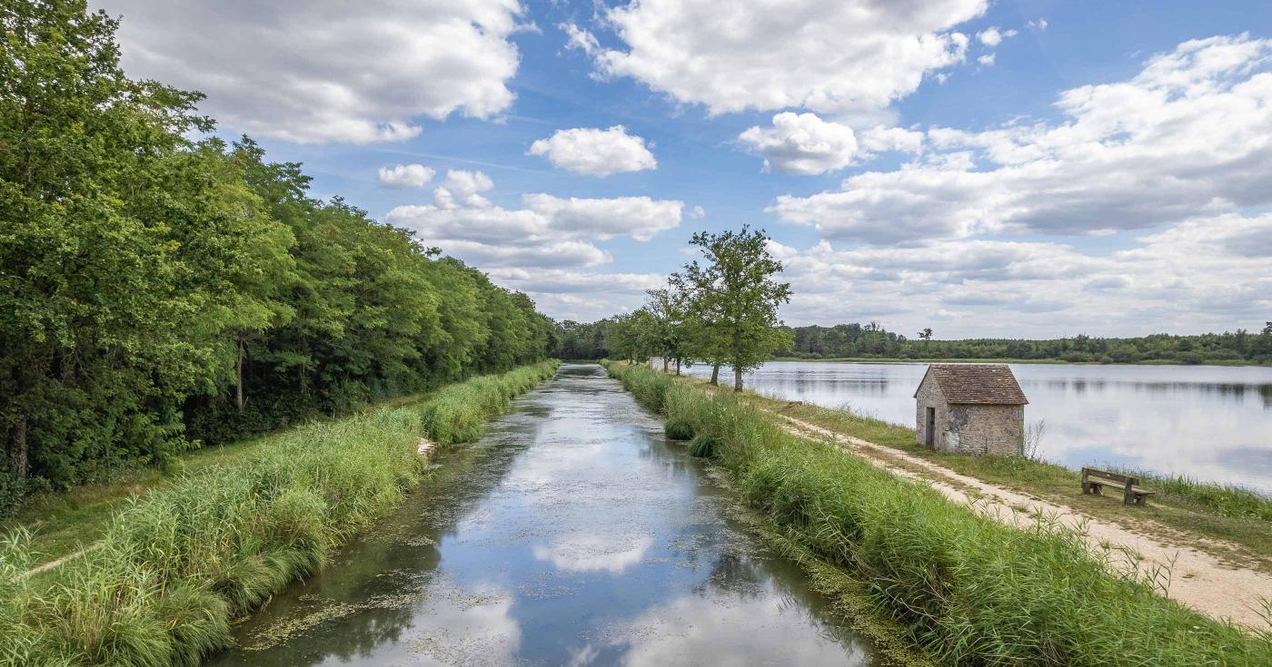 Loiret : le Département s’adapte au changement climatique - étang de la Noue Mazone