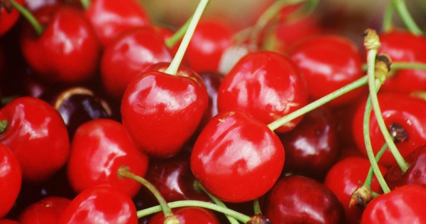 Le marché des producteurs donne à découvrir des produits locaux ! cerises