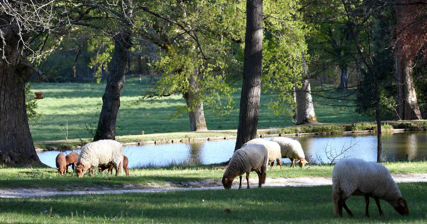 Le top douze les lieux hors des sentiers battus du Loiret - domaine du Ciran