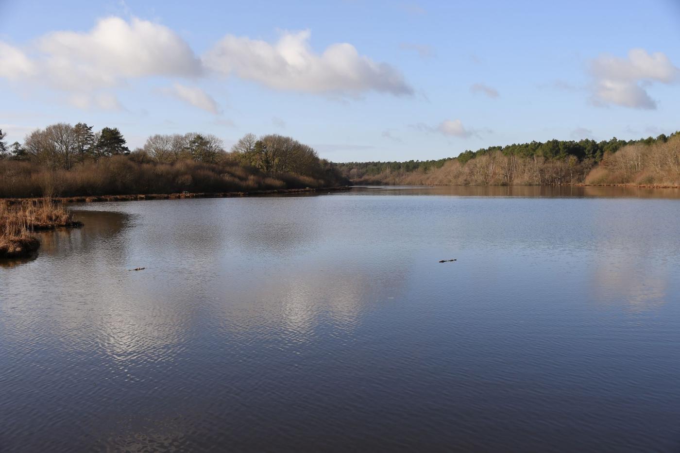 Etang de la Noue Mazone