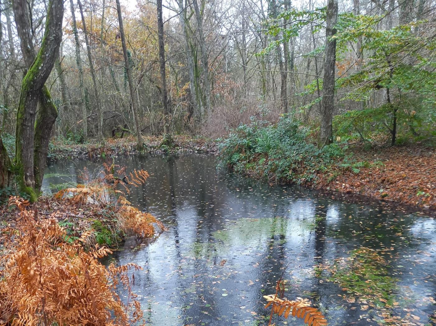 ENS Maurice Genevoix à Vannes-sur-Cosson