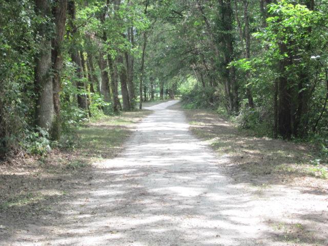 ENS Vannes-sur-Cosson Chemin