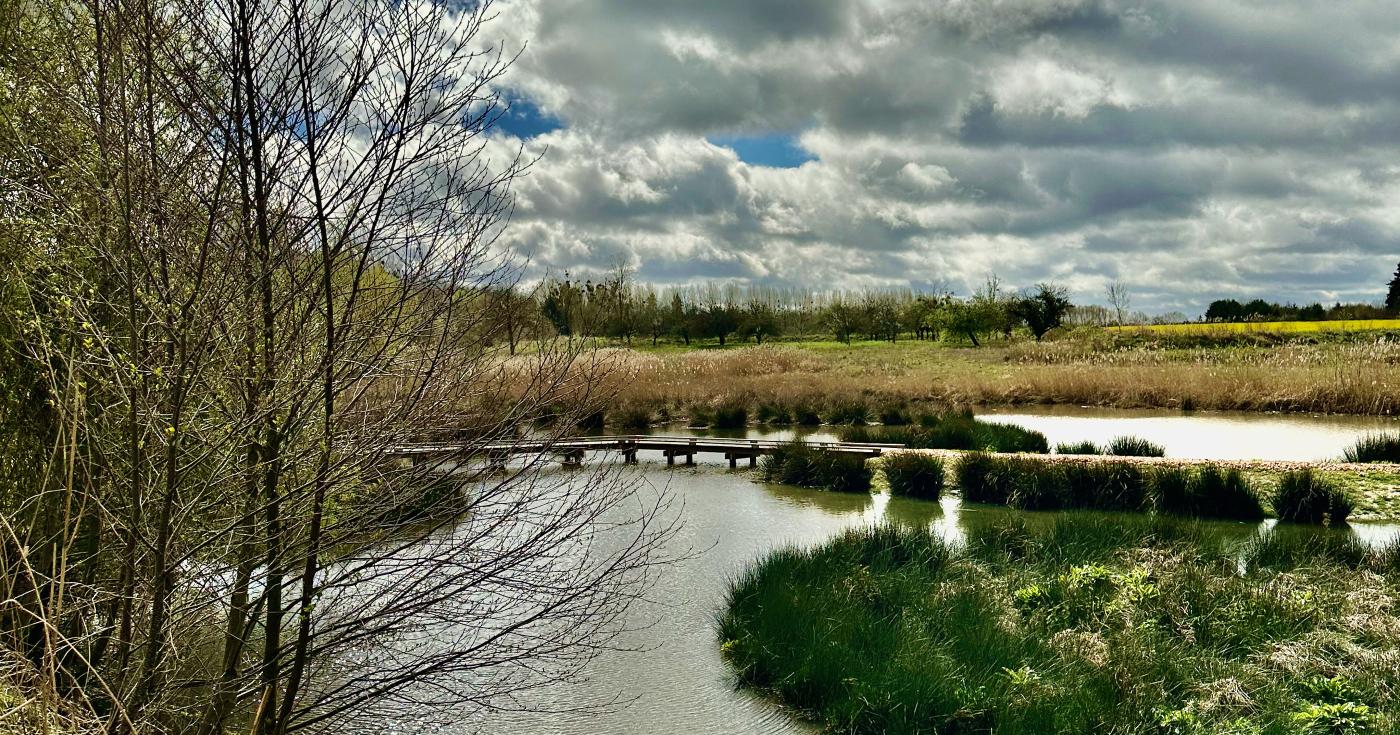 ENS des Pâtureaux à Chambon-la-Forêt et Nancray-sur-Rimarde